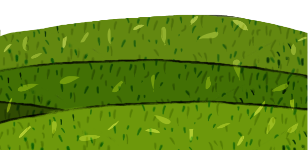 trawnik